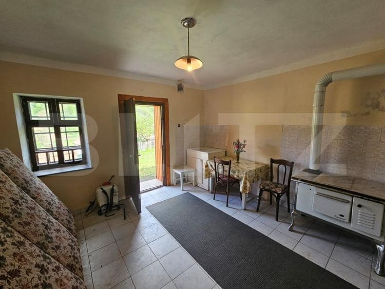 Casă individuală cu 5 camere cu Teren 4400 Mp în Ocoliș