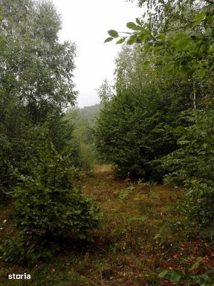 Teren de 5700 mp, în Râu de Mori