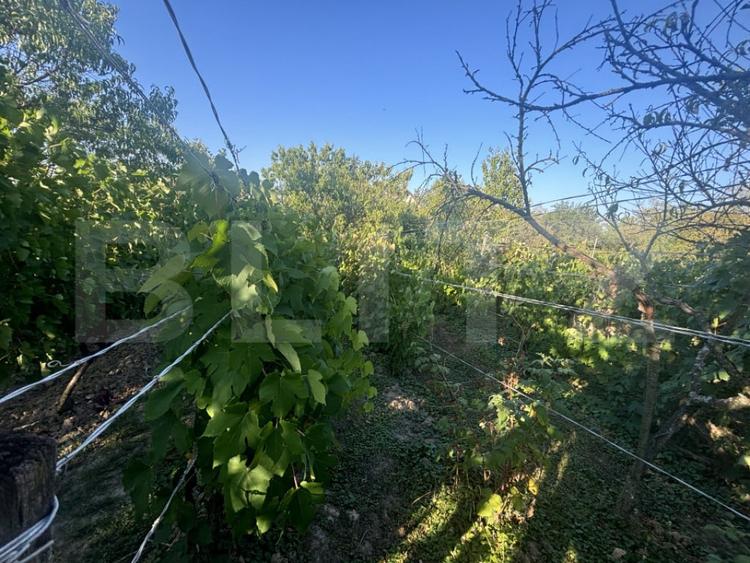 Casă cu 2 camere cu Teren 1021 Mp în Viile Satu Mare