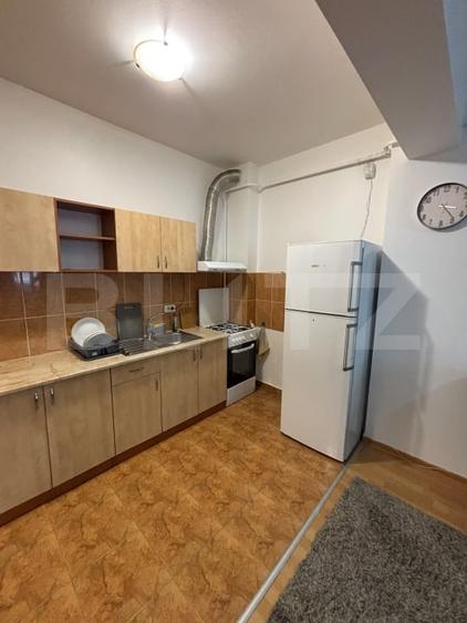 Apartament cu 2 camere, etaj 2, bloc cu lift, George Enescu - 5