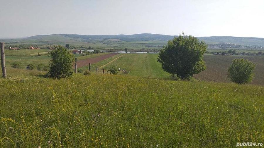 Teren de 18000 mp, în Feldioara
