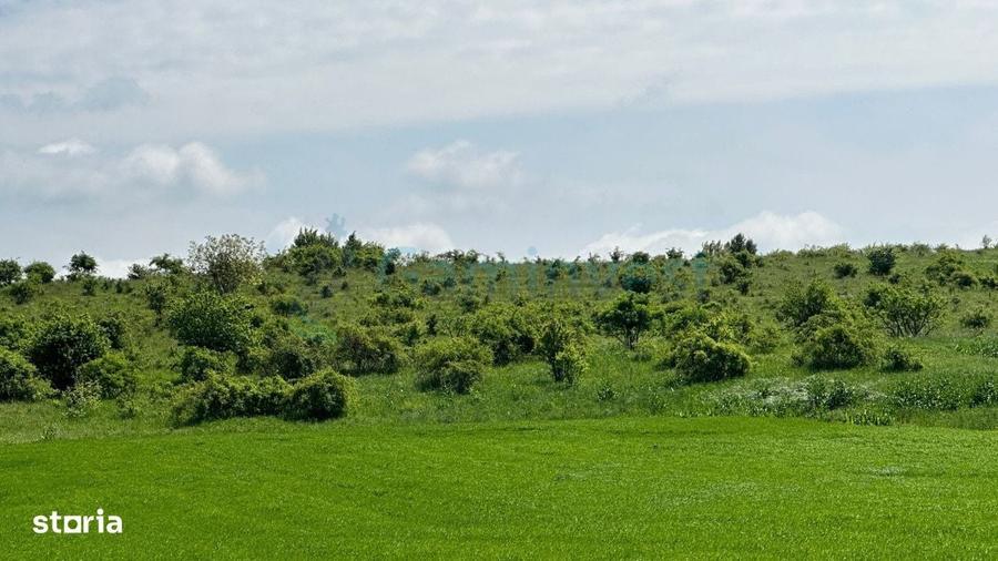 Teren Extravilan zona Episcopia,Oradea, judetul Bihor,Gaminvest,V3160B - 2