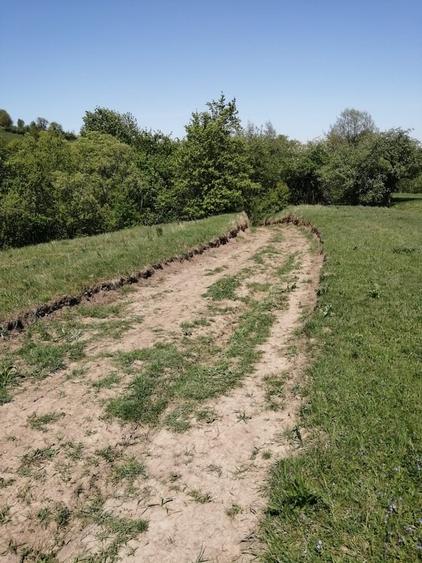 Teren de 1600 mp, în Cacica