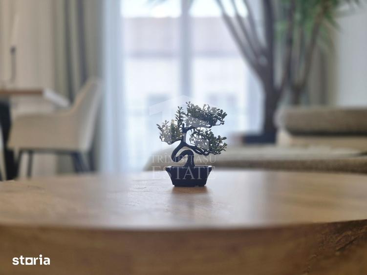 Apartament cu 2 camere în Iosefin