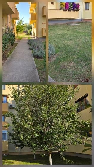 Apartament cu 3 camere decomandat, mobilat în Nord