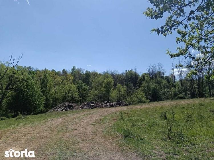 Teren intravilan de vanzare in orasul tismana jud gorj - 2