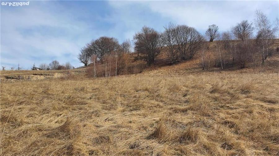Teren de 4100 mp, în Sălicea