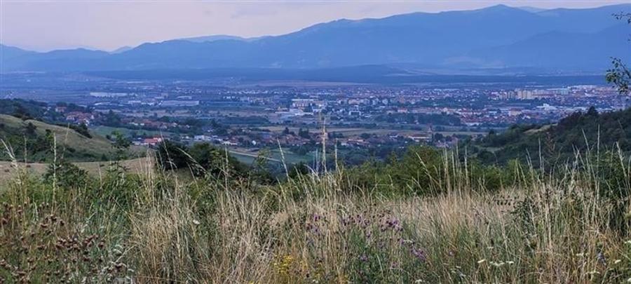 Teren agricol extravilan de 38000 mp, în Gușterița
