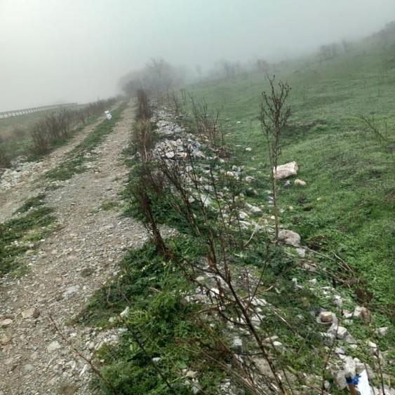 Teren Construcții extravilan de 6286 mp, în 1 Mai