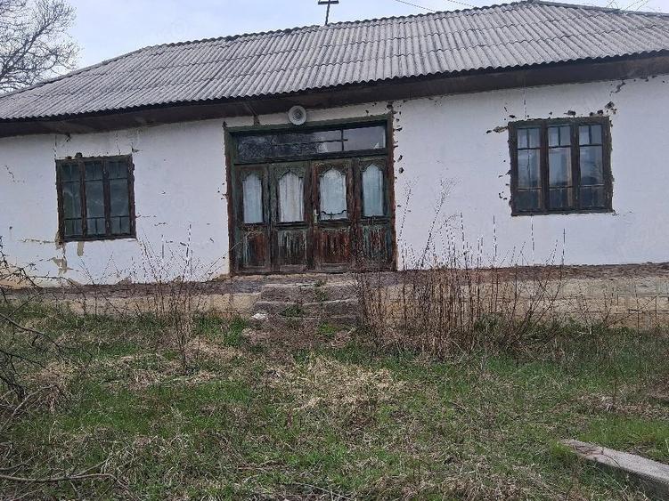 Casă cu Teren 4000 Mp în Năruja