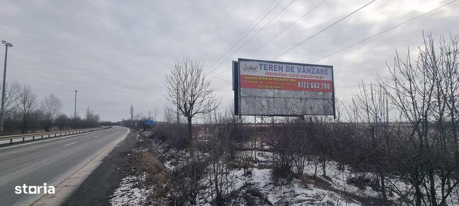 Teren de 60000 mp, în Bradu