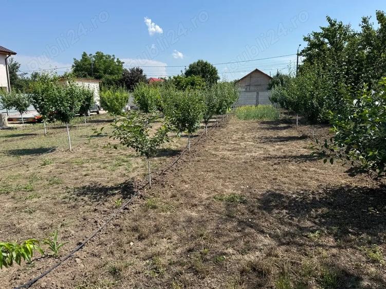 Teren de 880 mp, în Central