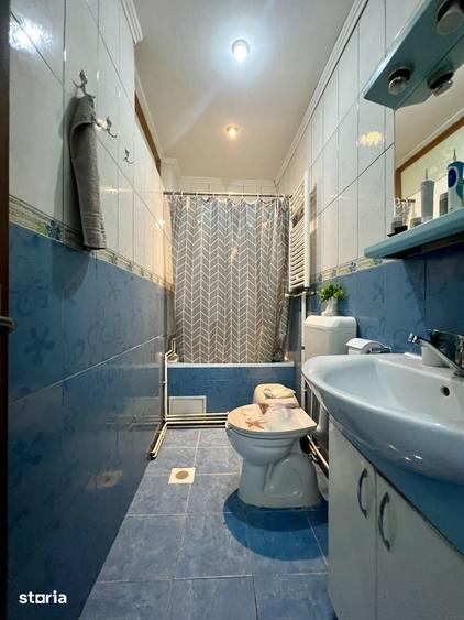 Apartament cu 2 camere semidecomandat, mobilat în Iosefin