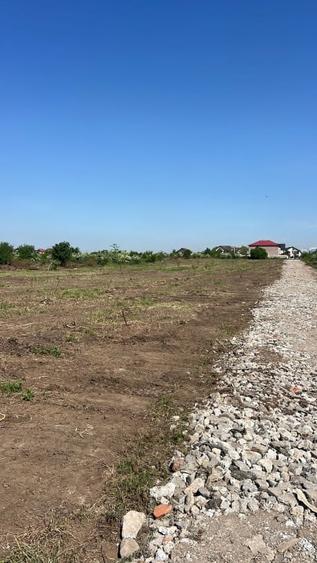 Teren Construcții intravilan de 572 mp, în Bragadiru