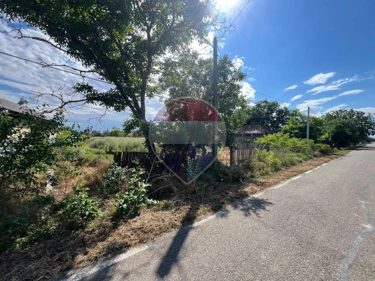 Teren de 2050 mp, în Călienii Noi
