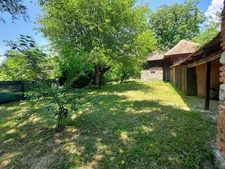 Teren de 3700 mp, în Jiblea Nouă