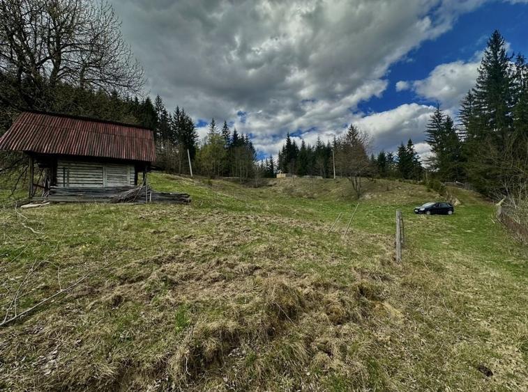 Teren de 14200 mp, în Ceahlău