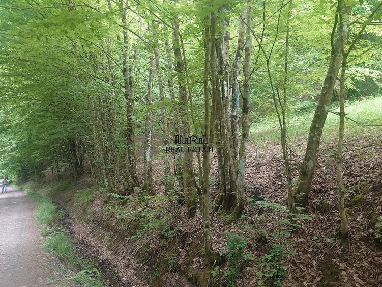 Teren de 3700 mp, în Bulzeștii de Sus