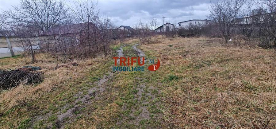 Teren Construcții intravilan de 2200 mp, în Cetate