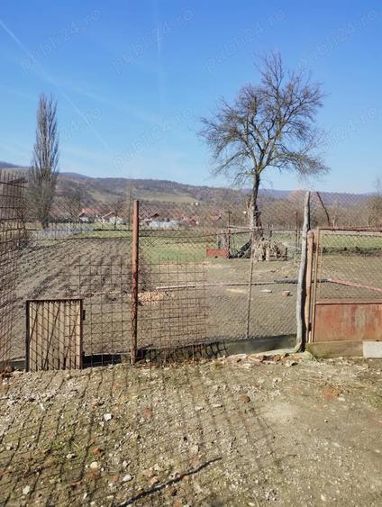 Casă cu Teren 4642 Mp în Bârsău
