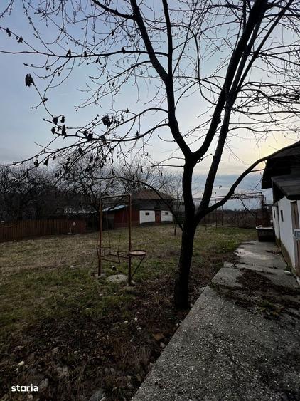 Casă cu 2 camere cu Teren 4000 Mp în Ulmi