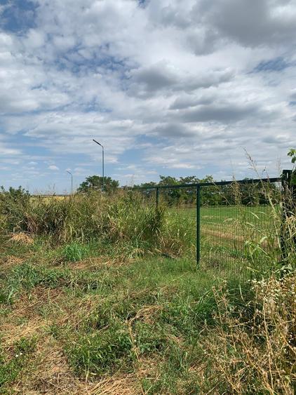 Teren Construcții intravilan de 5900 mp, în Dascălu