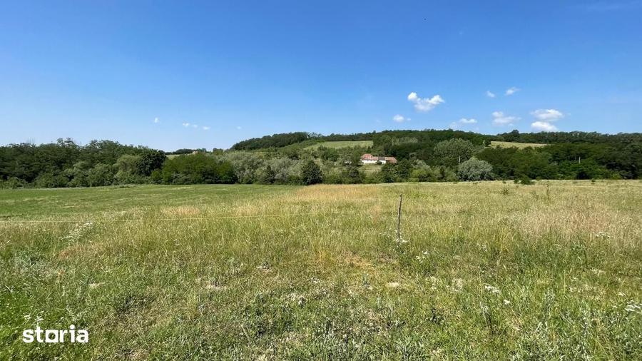 Teren de 10000 mp, în Ceica