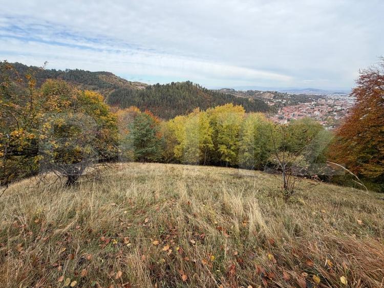 Teren Construcții intravilan de 17684 mp, în Schei