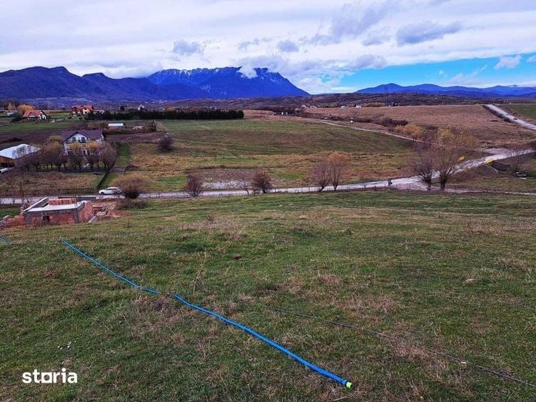 Teten intravilan Bran - Sohodol - 2