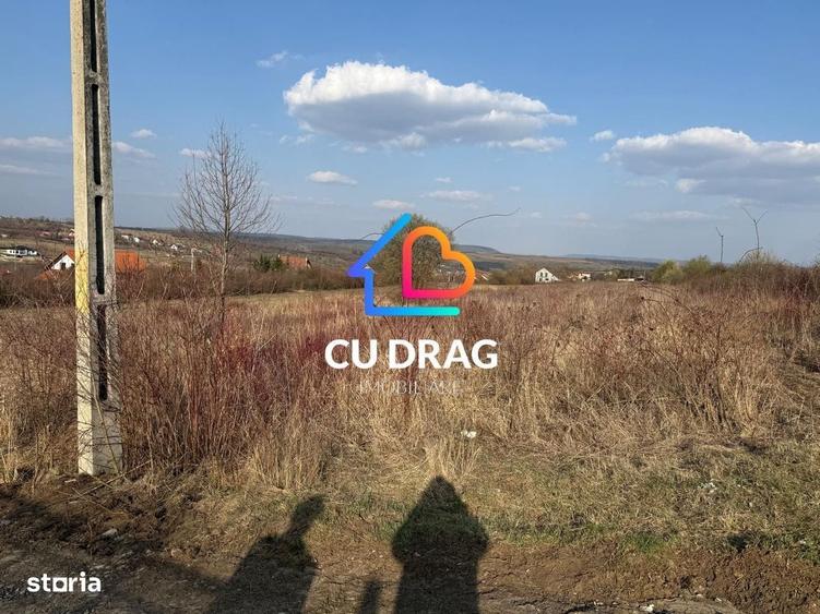 Spațiu comercial, în Nou