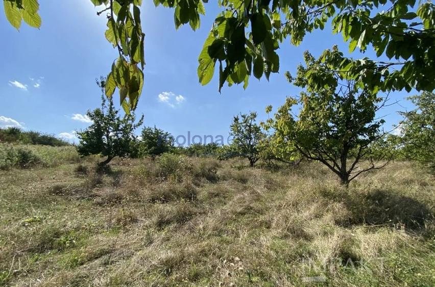 Teren Construcții intravilan de 802 mp, în Făget