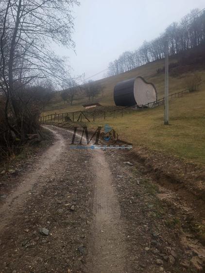 Teren Construcții intravilan de 1203 mp, în Tonea