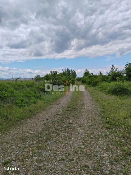 Teren de 114000 mp, în Ariceștii Rahtivani