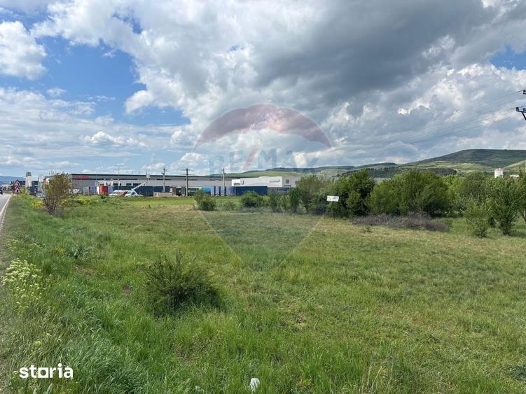 Teren de vanzare 13783mp, front la DN, parcela unica zona de vest - 3