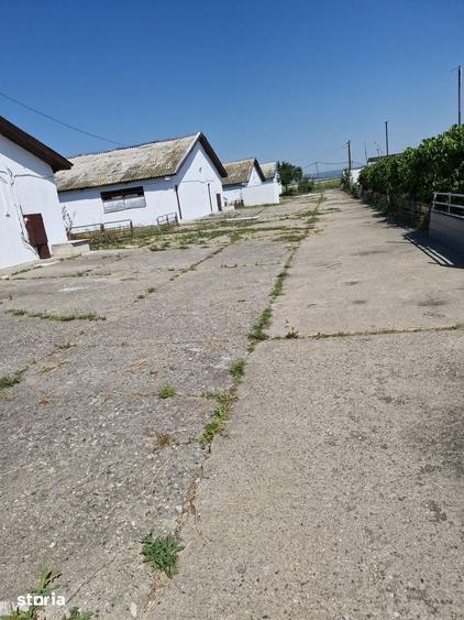 Spațiu comercial, de 6,000 mp, în Călărași