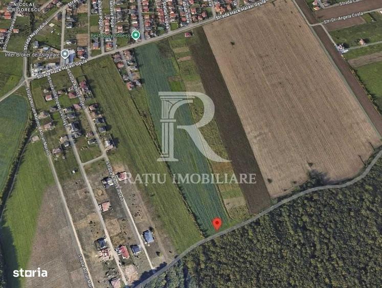 Spațiu comercial, în Central