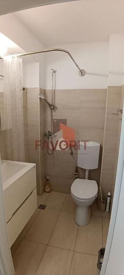 Garsoniera de inchiriat | Lipovei | Etaj 2 | Mobilat si utilat | - 5