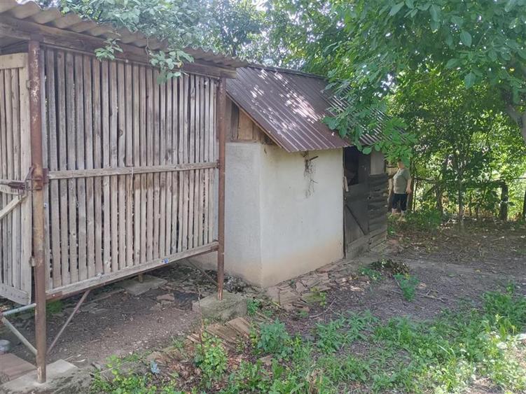 Casă cu 2 camere cu Teren 4960 Mp în Crestur
