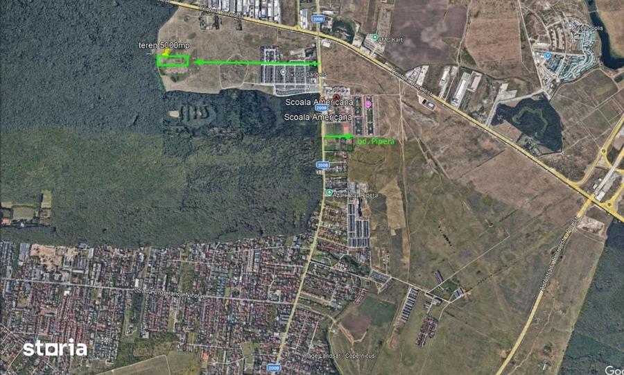Teren de 5000 mp, în Tunari