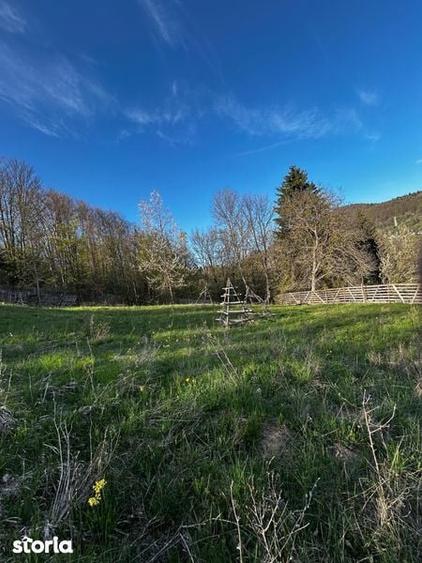 Teren de 2500 mp, în Valea Doftanei