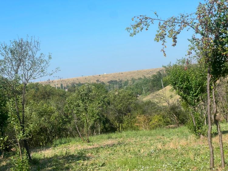 Teren Construcții intravilan de 1486 mp, în Valea Mare