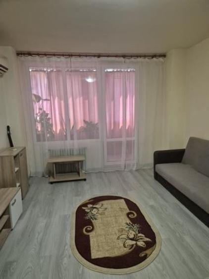 Închiriere Apartament 2 camere în Gara de Nord - 11