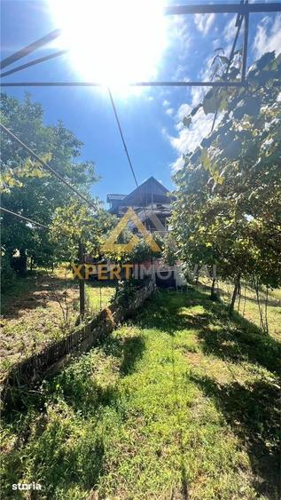 Casă cu 4 camere cu Teren 4900 Mp în Central