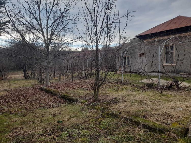 Teren cu Casa de vanzare in localitatea Ion Luca Caragiale pe dn72 - 2