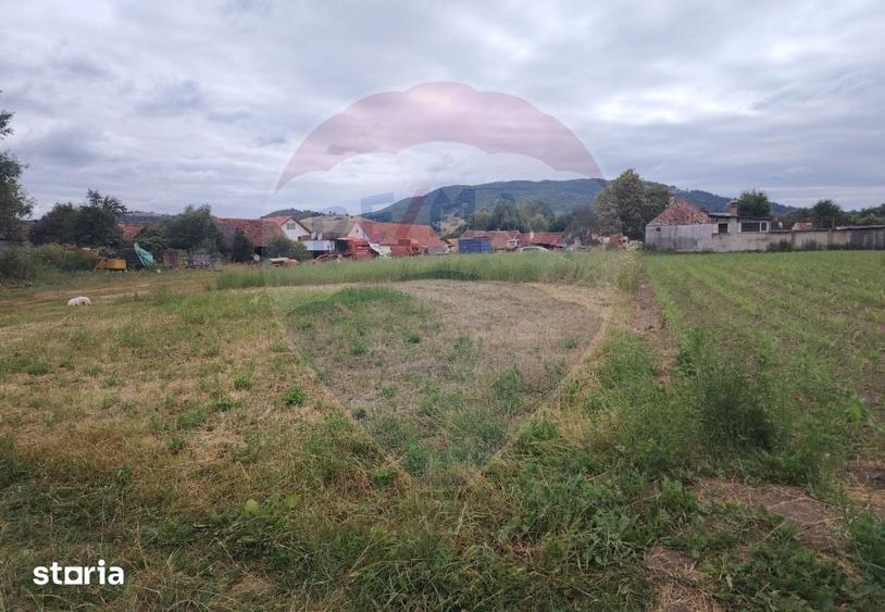 Teren de 1620 mp, în Comana