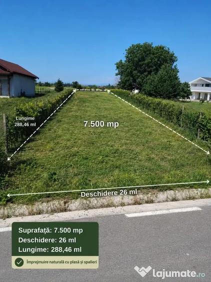 Teren de 12500 mp, în Lămotești