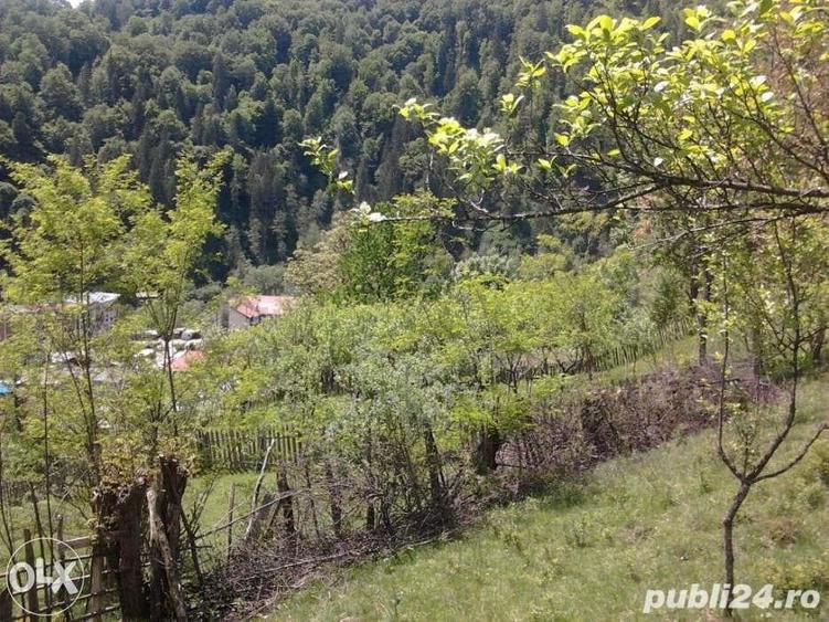 Teren de 5062 mp, în Voineasa