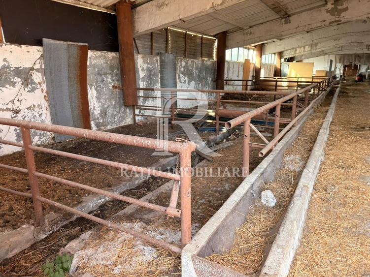 Spațiu industrial, de 8,000 mp, în Sărand