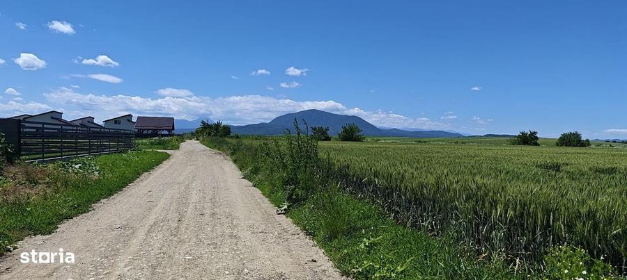 Spațiu comercial, în Hălchiu
