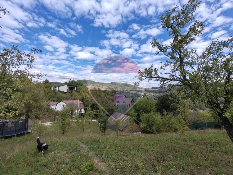 Teren Construcții intravilan de 5474 mp, în Provița de Jos